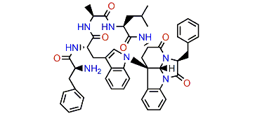 Kapakahine B